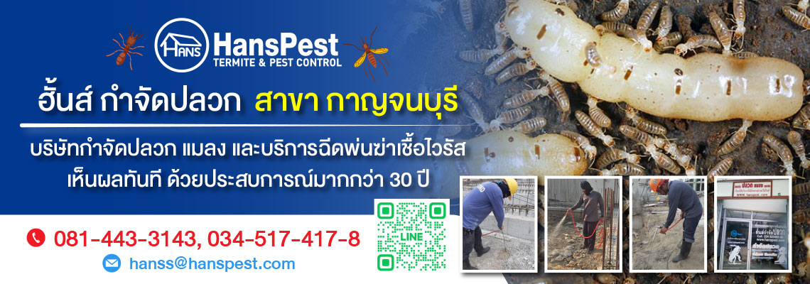 ฮั้นส์ กำจัดปลวก สาขากาญจนบุรี