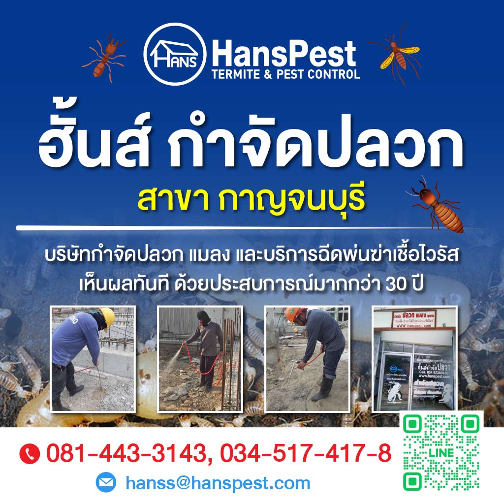 ฮั้นส์ กำจัดปลวก สาขากาญจนบุรี